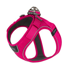 DOG Copenhagen Comfort Walk Go Dog Harness - Easy to put on and take off - Padded for Comfort - Reflective Trim - Small Dog - Puppy Harness, Wild Ros