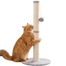 Cat Scratching Post for Indoor Cats, Grey, 64 cm, with Dangling Toy Ball
