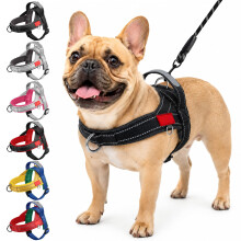 Olcyren No Pull Front Clip Dog Harness and Lead Set for Small Medium Dogs