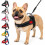 Olcyren No Pull Front Clip Dog Harness and Lead Set for Small Medium Dogs 1