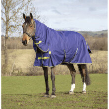 Asker 200g Mediumweight Waterproof Horse Turnout Rug, Combo Neck, Navy Blue (7ft0), Eleven