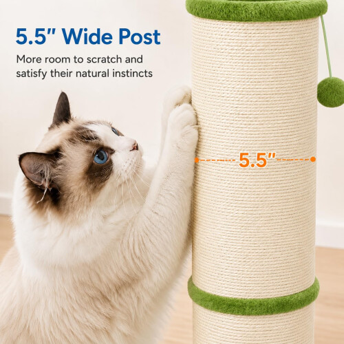 AGYM Cat Scratching Post with 5.5 Inch Diameter Sisal Post, 32 Inch,Green 2