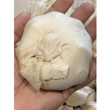 3X Extra Large Spanish Garlic for Planting Autumn and Spring UK Premium Quality