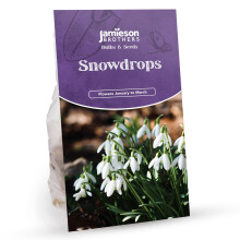 Jamieson Brothers Snowdrop Bulbs – 16-Pack for Planting in Gardens, Borders & Flowerbeds – Premium Flower Bulbs for Early Spring Blooms