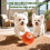 Electric Interactive Dog Ball,Automatic Rolling Bouncing Ball for Small Medium Dogs Cats,Self Moving Bouncing Jumping Automatic Ball,Rechargeable Was 5