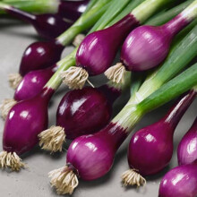 NAKAICUN Mole Repeller Solar Powered Repellent Mole Voles Gopher Mice and Rats Rodents Sonic Repeller Pest Control Snake Repellent Mole Deterrent Wat