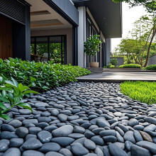 Yard Yard 200 Cells Seed Trays - 20 PCS Reusable Seedling Plug Trays Starter Container for Nursery Greenhouse Garden Growing Plants Propagation Germi