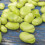 Perlite 100L – Premium Horticultural Grade Perlite for Soil 5