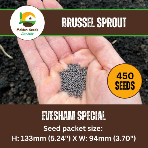 Big K Chilla-Grilla Restaurant Grade Charcoal 12KG 1