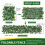 Premier Seeds Direct - Narcissus Bulbs (Geranium, 10) 4