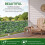 Premier Seeds Direct - Narcissus Bulbs (Geranium, 10) 5