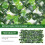 Premier Seeds Direct - Narcissus Bulbs (Geranium, 10) 2