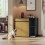 SoBuy Meuble cache-litière chat HAT08-E-SCH 2