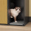 SoBuy Meuble cache-litière chat HAT08-E-SCH 8