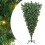 VidaXL vidaXL Upside-down Artificial Pre-lit Christmas Tree Green 180 cm PVC 1