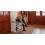 Shoe Storage Bench with Padded Seat, 16 Open Compartments 8