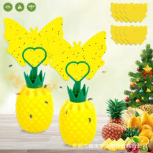 2 Pack Fruit Fly Trap with Butterfly Sticky Paper Lure, Flying Insect Catcher for Pineapple Fly, Indoor Outdoor Use, 2 Count