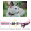4 Pack Cat Collar Safety Release, Adjustable Kitten Collars with Bell, Reflective & Quick Release 3