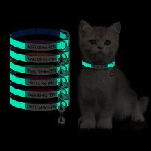 Katzenhalsband mit Leuchten im Dunkeln – personalisiertes Halsband mit Namensschild, Name und Telefonnummer, verstellbar mit Schnellverschluss