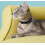 4 Pack Cat Collar Safety Release, Adjustable Kitten Collars with Bell, Reflective & Quick Release 6