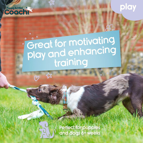 Puppy & Mini Tuggi Tug - Gioco per cani per tirare e giocare 1