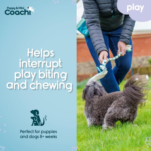 Puppy & Mini Tuggi Tug - Gioco per cani per tirare e giocare 2
