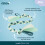 Puppy & Mini Tuggi Tug - Gioco per cani per tirare e giocare 4