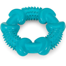 Jouet à mâcher anneau en caoutchouc Little Pet pour la poussée dentaire (lot de 1)