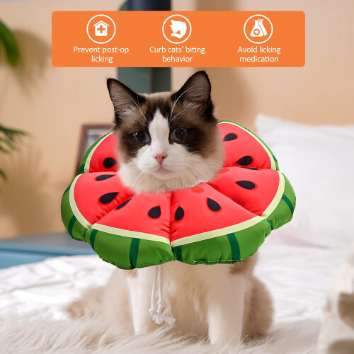 Soft Adjustable Cat Recovery Cone – Post-Surgery E-Collar (M) 2