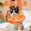 Soft Adjustable Cat Recovery Cone – Post-Surgery E-Collar (S) 3