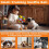 Palla olfattiva gioco per cani, puzzle interattivo, gioco da masticare di arricchimento, 20cm 5