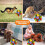 Palla olfattiva gioco per cani, puzzle interattivo, gioco da masticare di arricchimento, 20cm 6