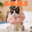 Soft Adjustable Cat Recovery Cone – Post-Surgery E-Collar (S) 3