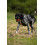Bola com corda brinquedo de morder e puxar para cão, resistente e interativo (pacote 1) 5