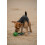 Bola com corda brinquedo de morder e puxar para cão, resistente e interativo (pacote 1) 6