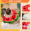 Soft Adjustable Cat Recovery Cone – Post-Surgery E-Collar (S) 6