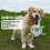 Brinquedos para cão bolas, bola 6 polegadas/7 polegadas com alças, pastoreio, durável, exterior para cachorros, treino (Paw-M) 5