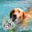 Brinquedos para cão bolas, bola 6 polegadas/7 polegadas com alças, pastoreio, durável, exterior para cachorros, treino (Paw-M) 7