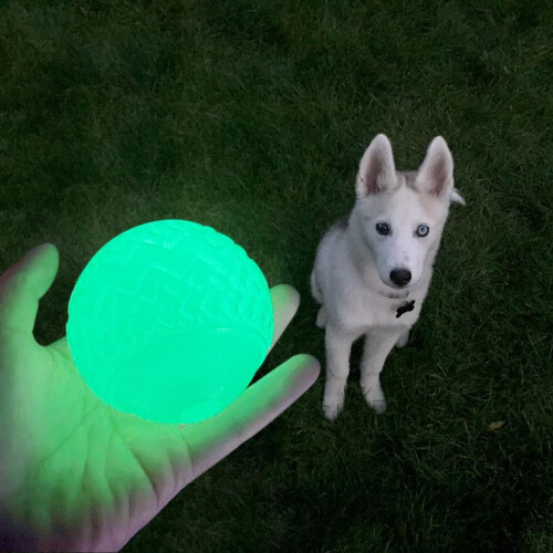 Feixun glödande boll leksak för hundar, hundleksak boll som glöder i mörkret, 2 set 1