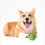 Bola interativa de risada para cão, brinquedo com apito, alivia a ansiedade e o tédio para cães e gatos (Verde, 3.46 polegadas) 6