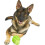 Latex Broccoli Soft Chew Dog Toy, Large 4