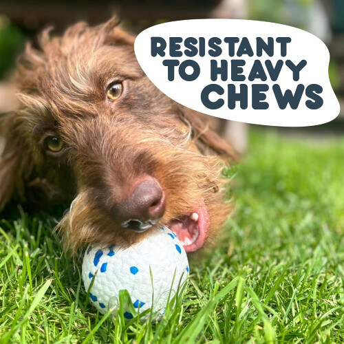 Outdoor Paws Mighty Ball Hundleksak, Medium (Set med 2) 1
