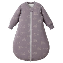 LULUMONKEY Baby Sleeping Bag 2.5 Tog, 100% Cotton Winter Baby Wearable Blanket for 6-18 Months Newborn Sleep Sack with Sleeves, Dinosaurs