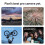 Google Google Pixel 8 Pro,8GB 128GB,6.7" inch,Blue 5