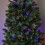 100m 1000 LED Multi-Action Christmas String Lights in Multi-Coloured 5