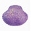 4PCS Mini Glitter Shell Squeeze Toy – Ocean Shell & Soft Stretchy – for Stress Relief & Fidget 1