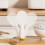 17.6cm Plastic Rice Ladle – for Kitchen & Cooking – with Heat Resistant 5