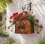 secchiello per piante grasse da appendere – Design a borsa – per ingresso e giardino di casa 2