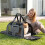 Rolling Pet Carrier with Wheels, Telescopic Handle, Mesh Windows 1