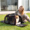 Rolling Pet Carrier with Wheels & Telescopic Handle, Red 5
